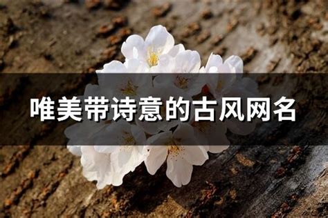 2字網名|两个字的古风诗意网名【精选100个】